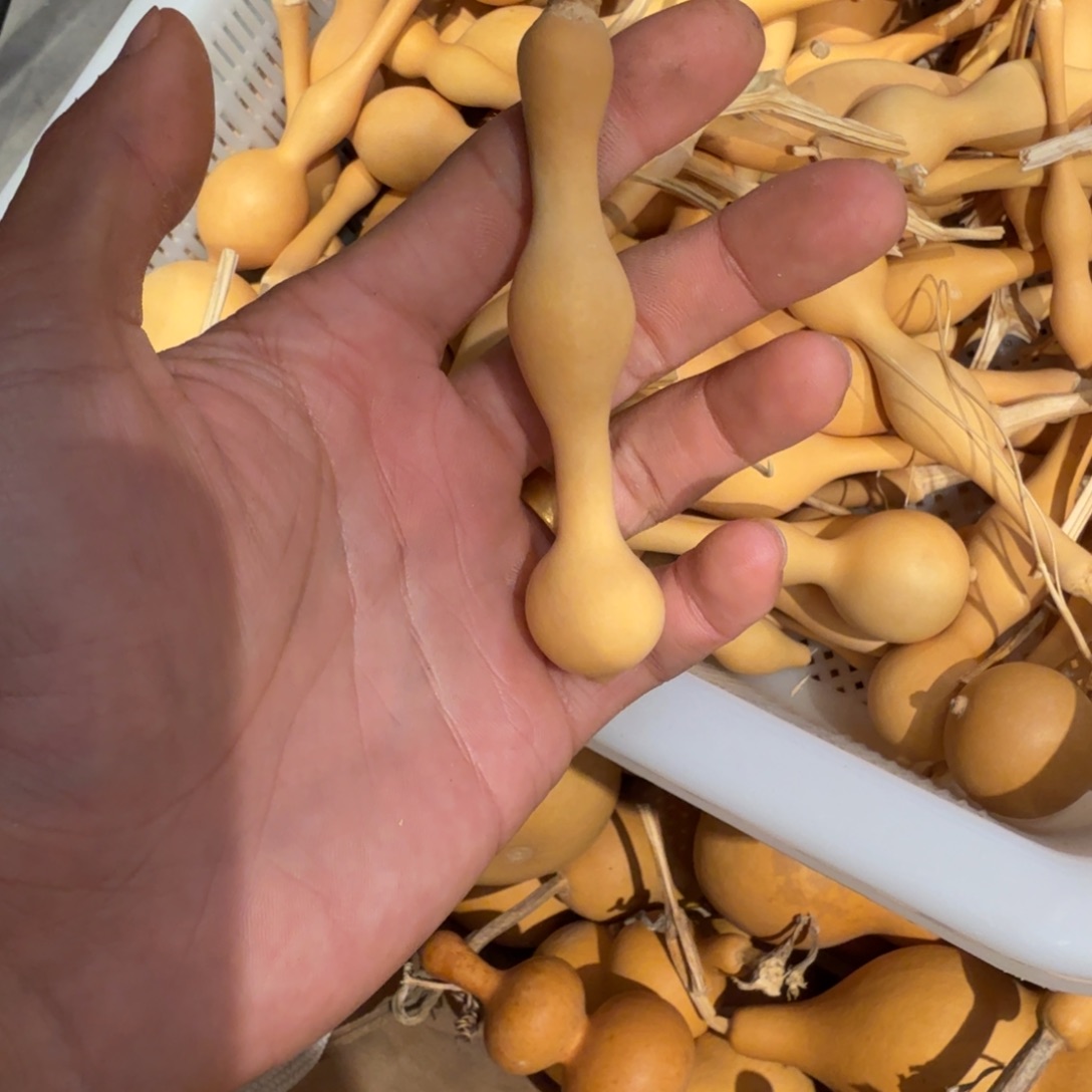 戴***辉發財精品葫芦闪购