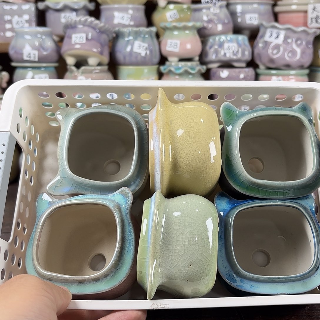 红陶量货/口6高深浅搭配发6