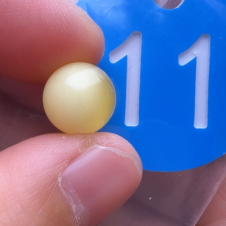 蜜蜡裸石未镶嵌花粉10m m