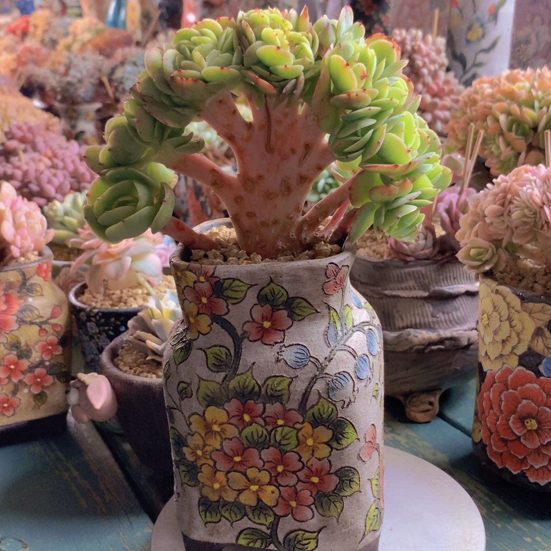 碧桃朵朵无砍自然群