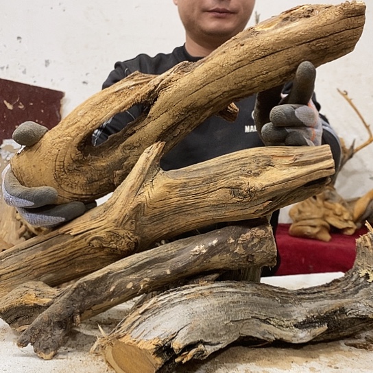 不***心柏木我们都是好孩子