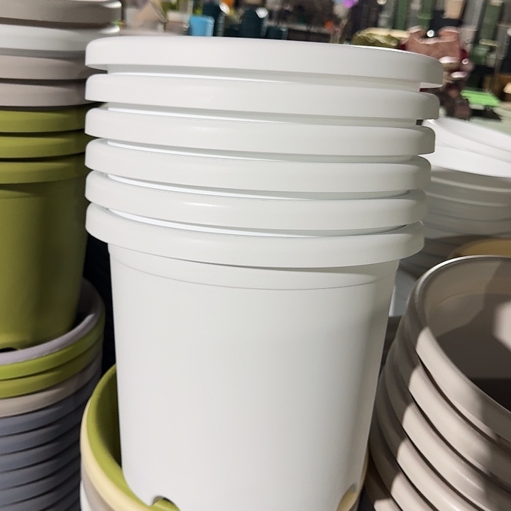 微瑕5#白色6个无托