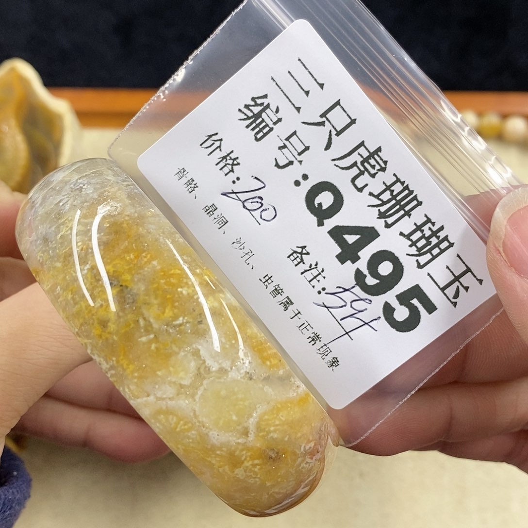 硅化珊瑚（珊瑚玉）1未镶嵌彩*?