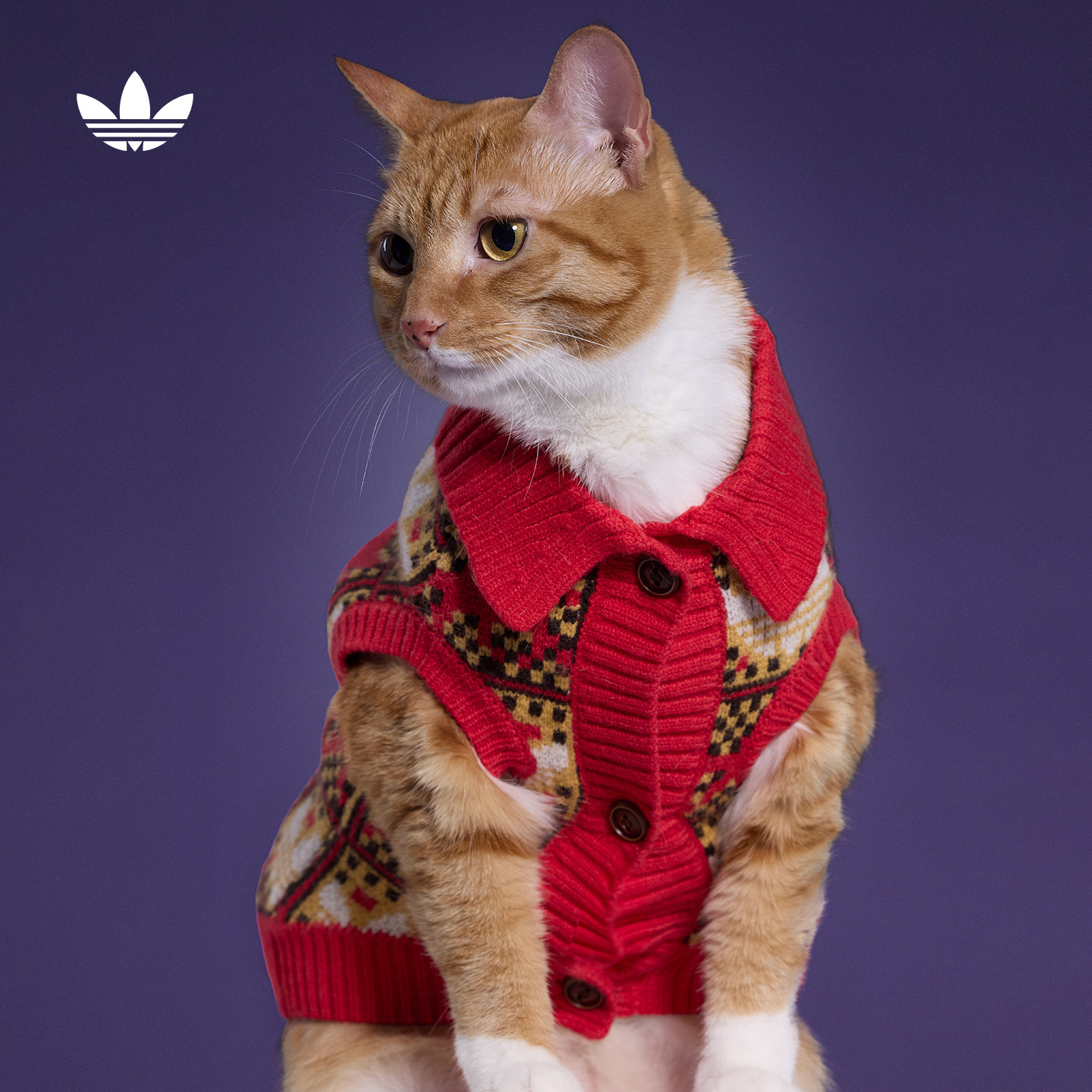 新年款宠物毛衣针织印花开衫衣服冬季狗狗猫阿迪达斯三叶草KZ4785