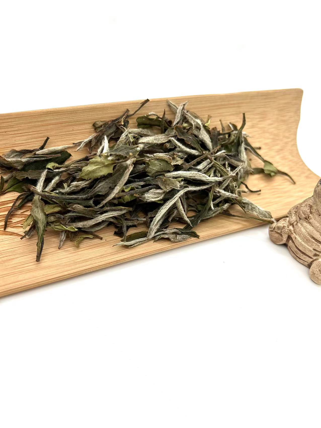  四系编号202204018大毫-2022年白牡丹