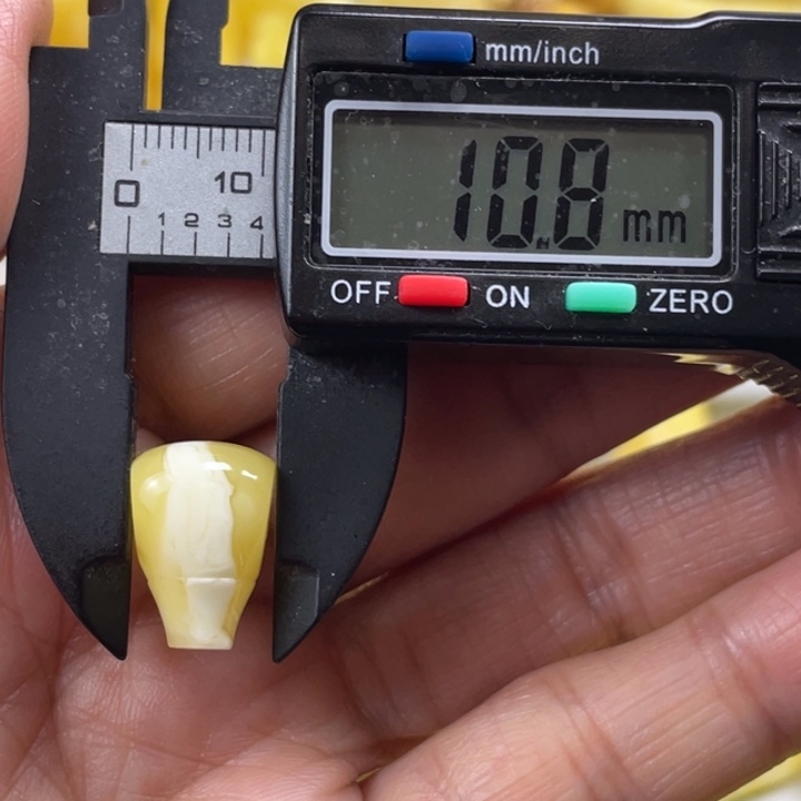 欹***蜜蜡未镶嵌裸石10