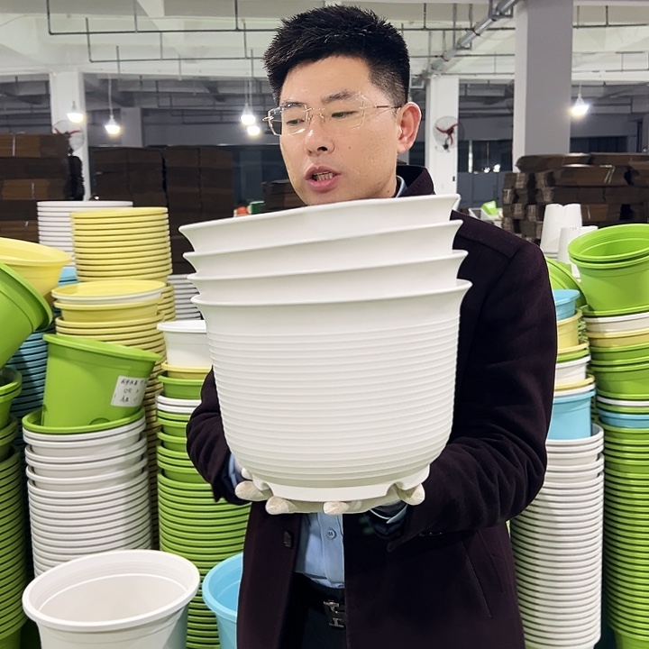 正品矮陶口27高18白色6只无托