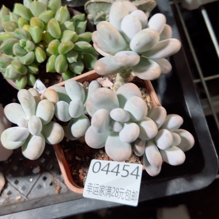 幸运的是我还没遇到过