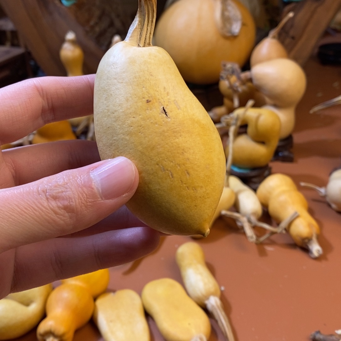 富***艺教练教练教练教练经理