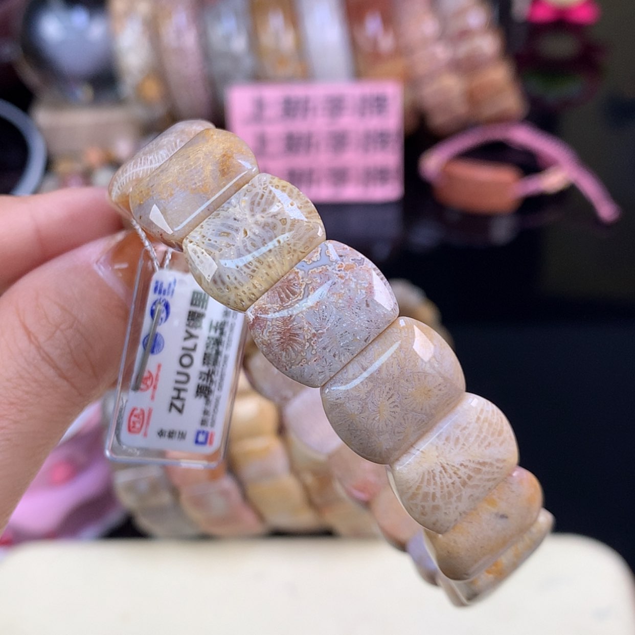 【闪购商品】颈饰未镶嵌硅化珊瑚（珊瑚玉）上新手牌（6号）