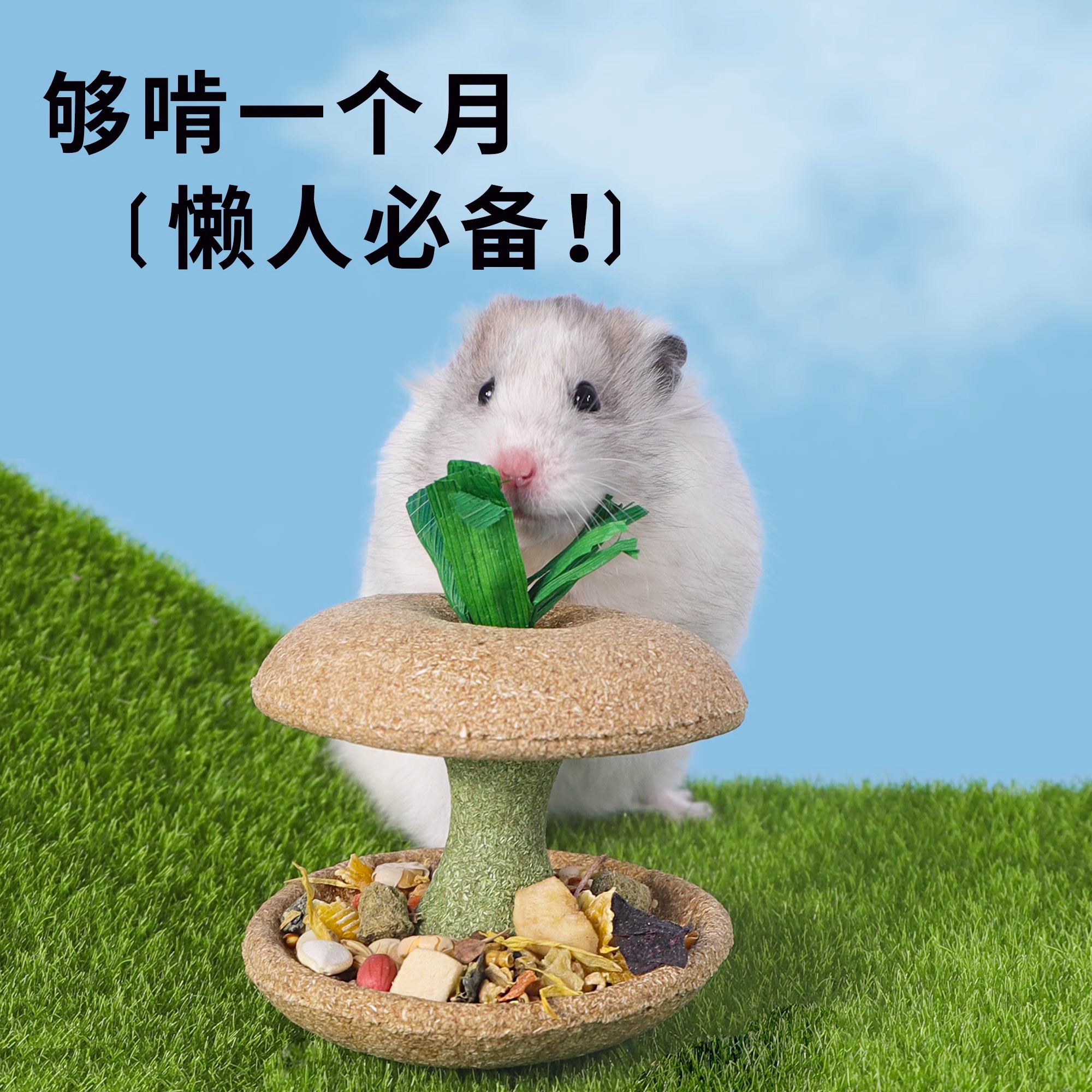 仓鼠零食草饼苹果核磨牙棒金丝熊营养小零食解闷玩具造景用品大全