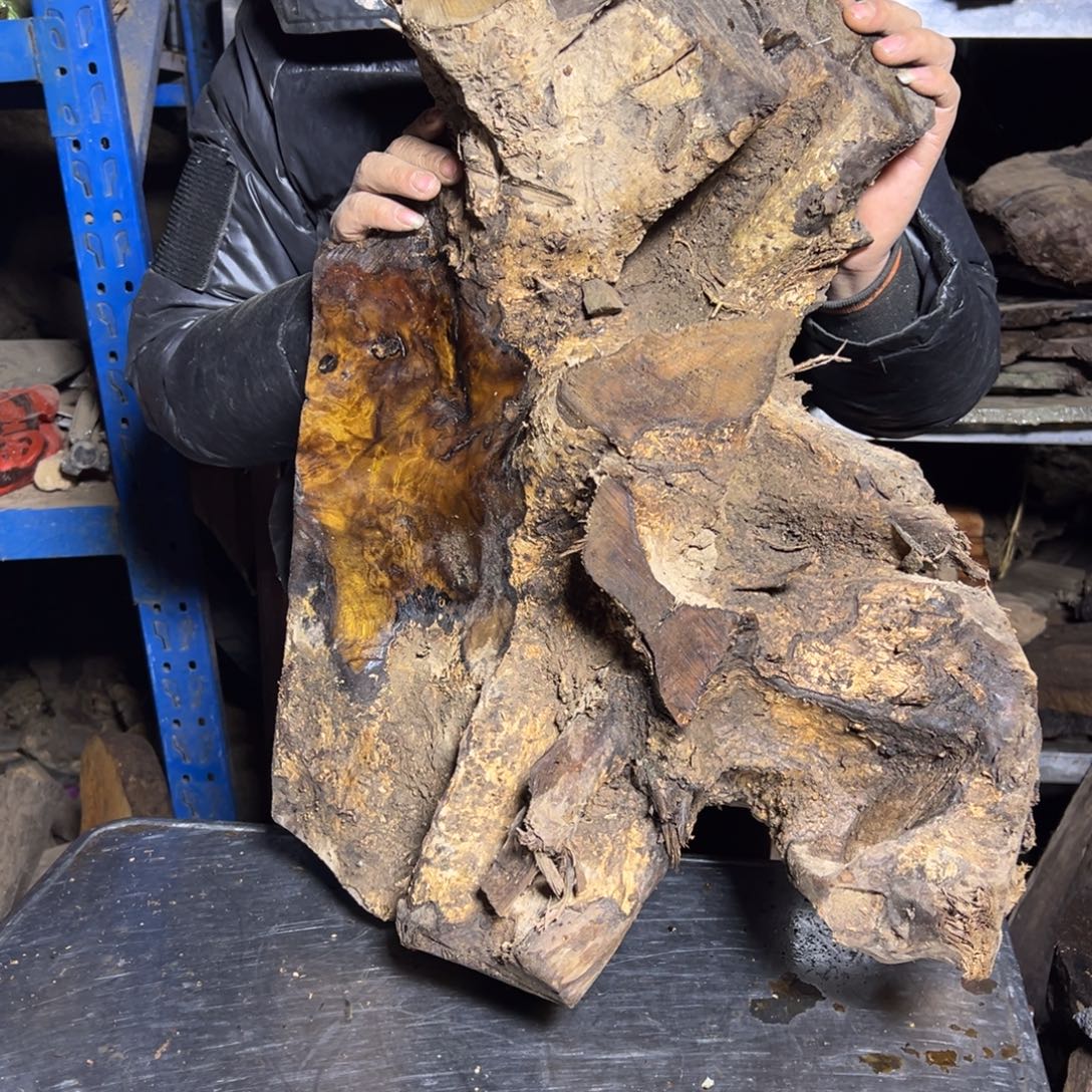 蛇****楠木111111111111