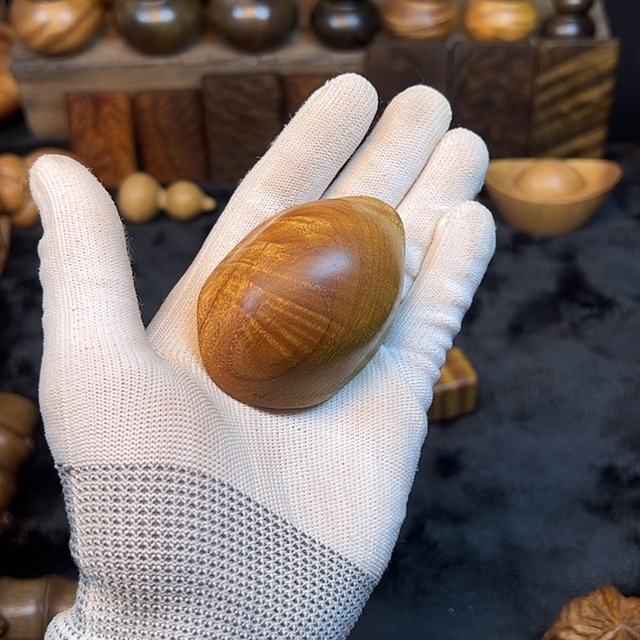 楠木金丝楠木小叶