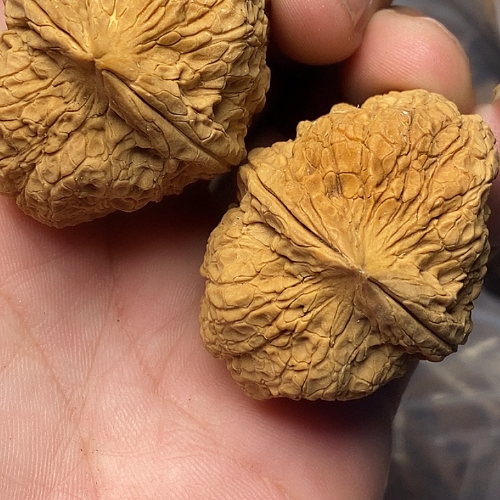 文玩核桃把件志成云铁文玩59