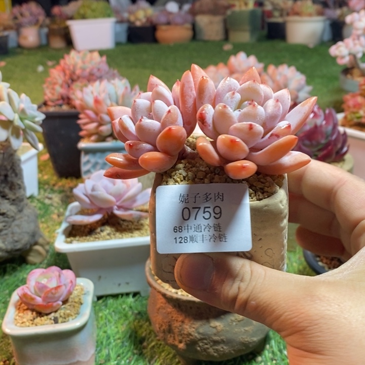 0759啊啊啊啊啊啊啊啊啊啊啊啊