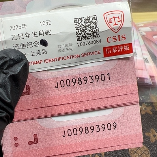 J009893901标十简易封装蛇