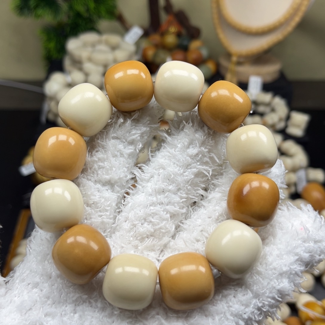 菩提根/象牙果吊坠1.24.29多宝大桶