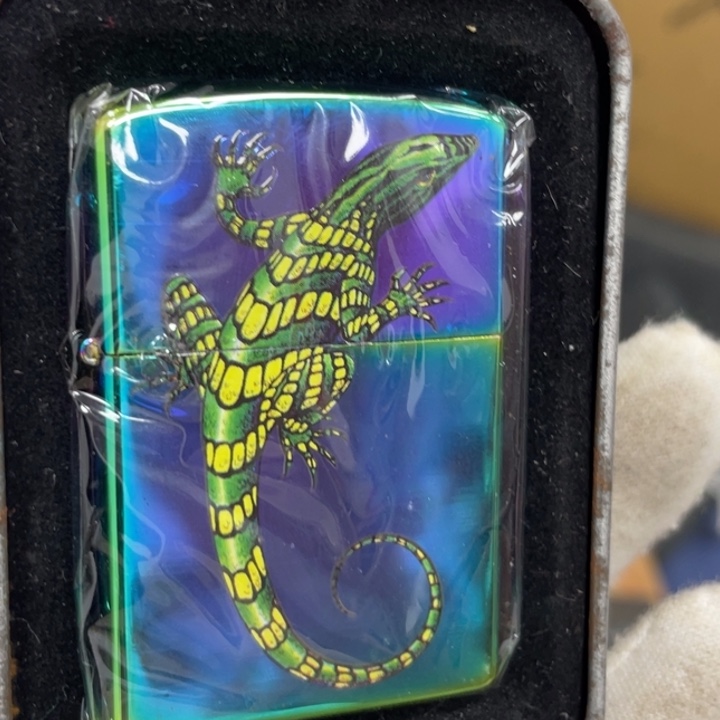 【闪购商品】恒星彩蜥蜴