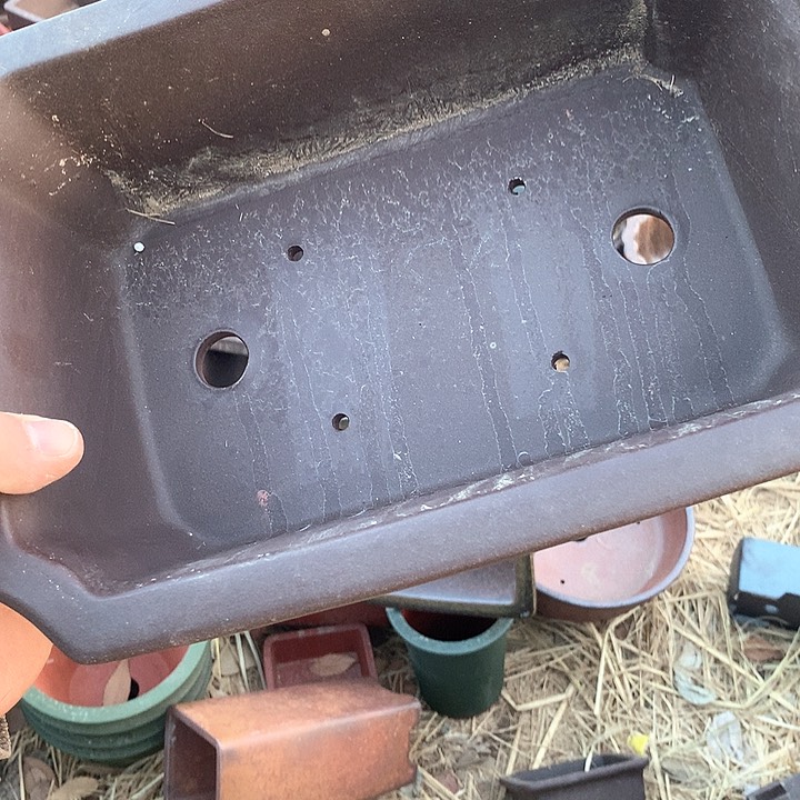 紫砂优秀青年科技人才