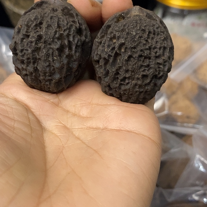 核桃云南铁核桃基地34