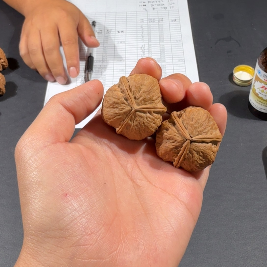 文玩核桃把件16号三棱蟾王