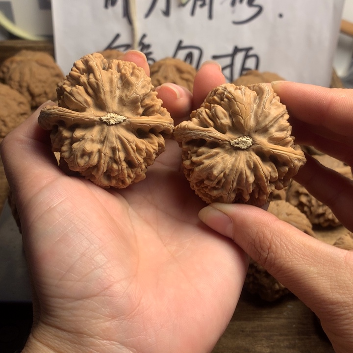 吊坠文玩核桃C****?粗筋