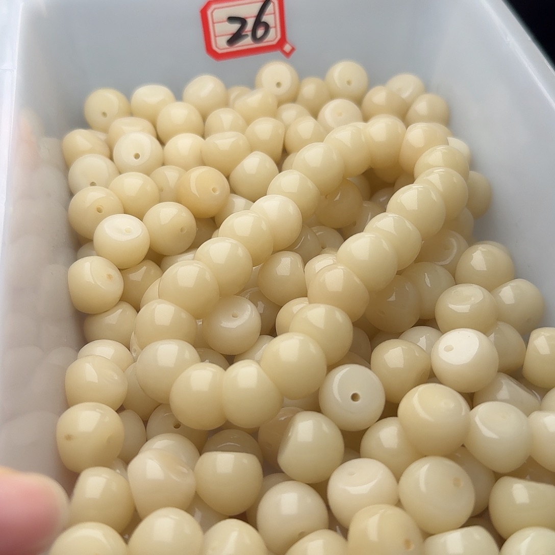 吊坠菩提根/象牙果50 颗菲料奶咖干磨 14 蒜瓣  厚切