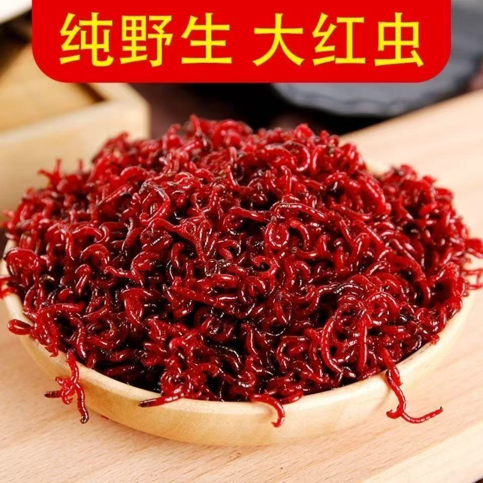 【粉丝福利】冬季钓鱼爆护野钓台钓鱼饵