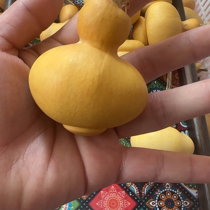 晚***。葫芦钱袋子葫芦葫芦