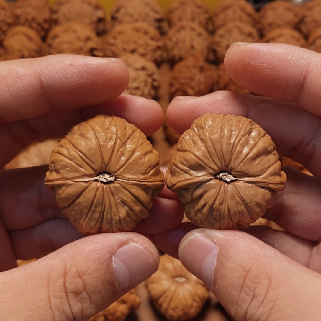 文玩核桃把件?*38尺 南瓜墩 45