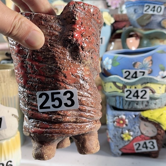 红陶多肉植物花盆