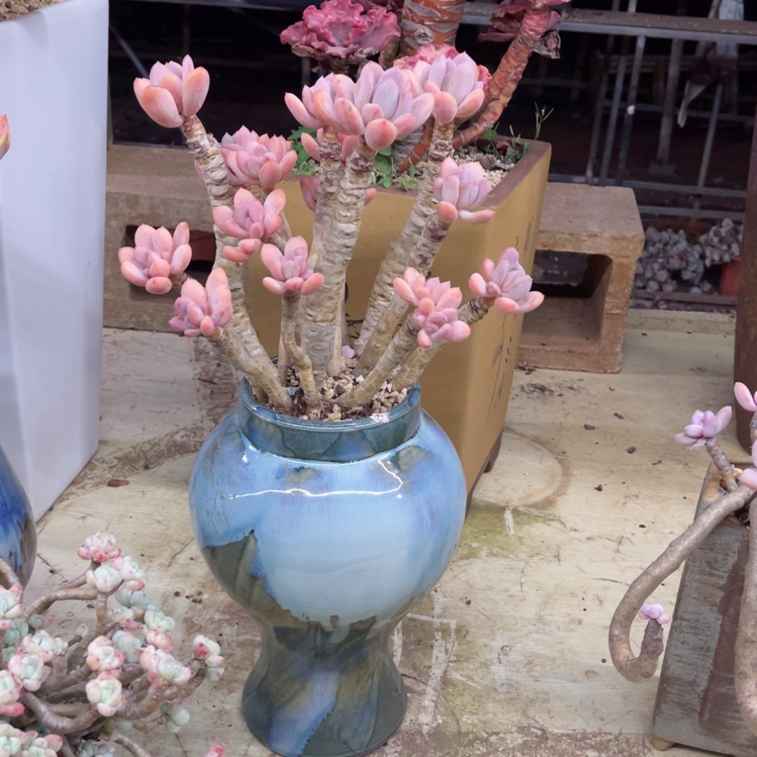 我是不是应该＂我在，