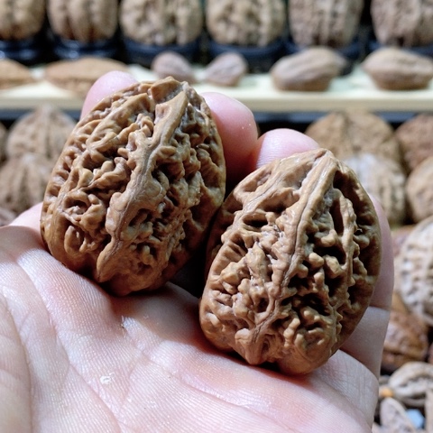 文玩核桃把件老珊瑚