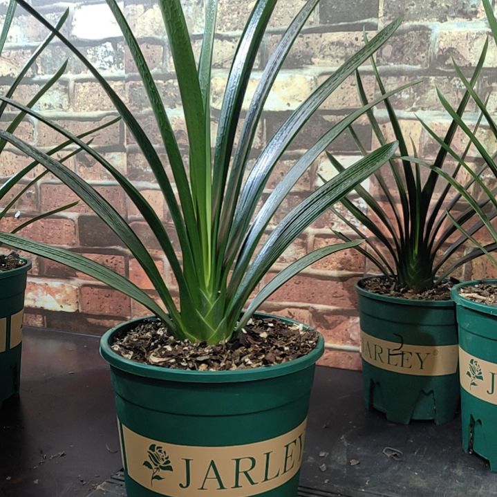 完全开放11111111