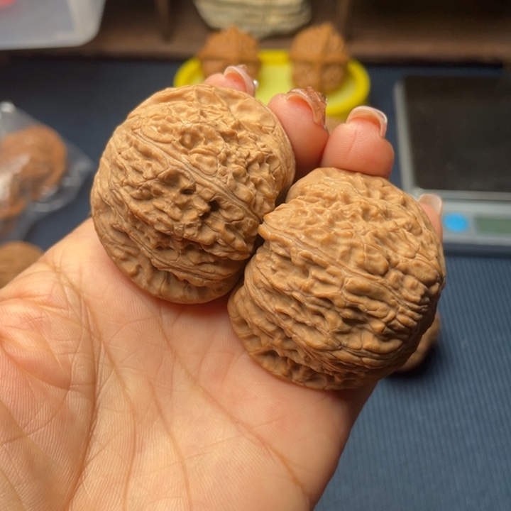 核桃44绣球全品无修