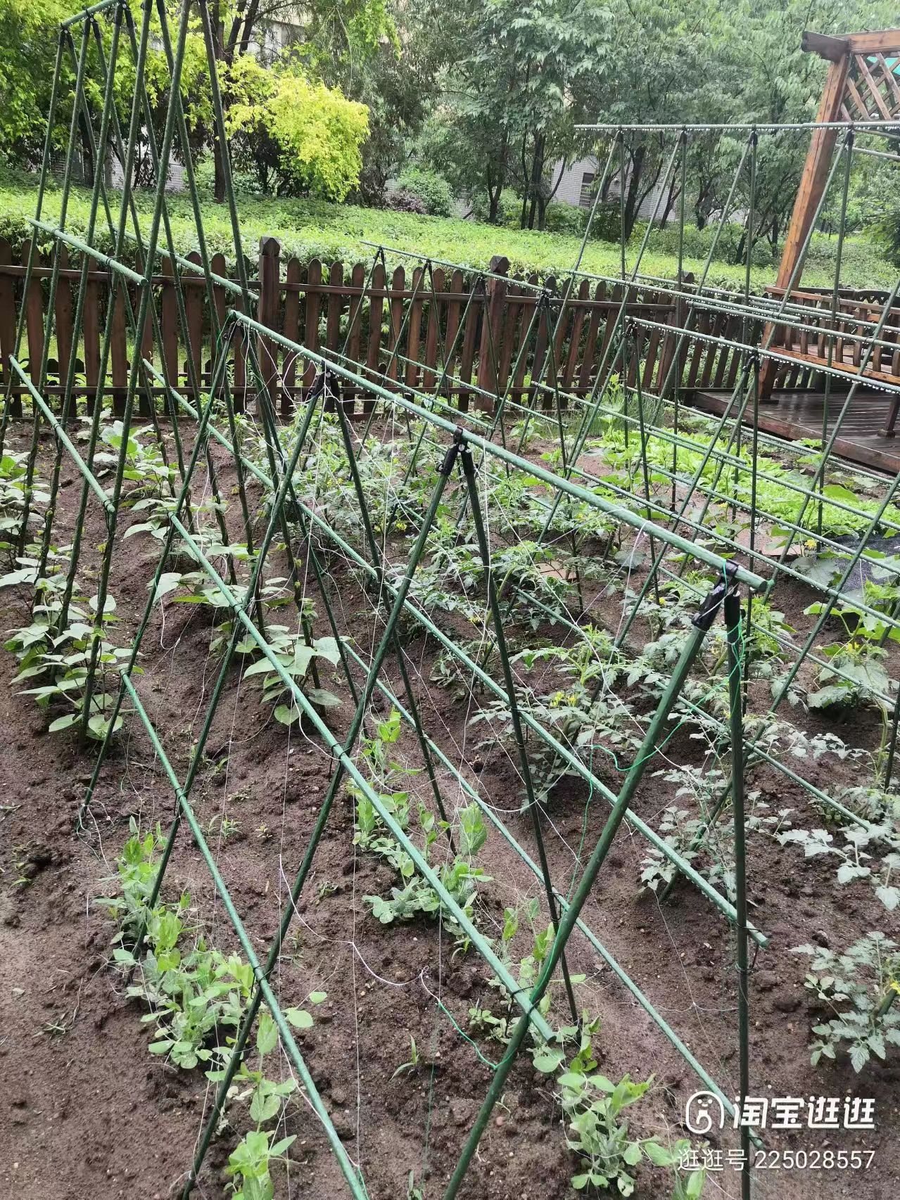 爬藤架种菜专用架子园艺花架花园阳台花植物豆角黄瓜架葡萄架户外