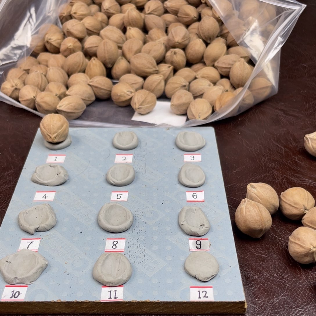 手串/手链橄榄核会***?21.27梅林铁核