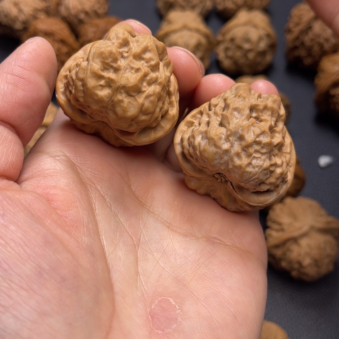 桃核把件36蛤蟆头。 孟