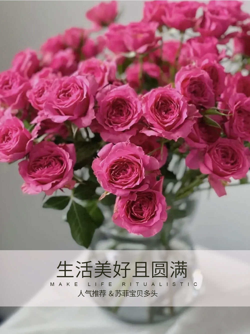 [云屿花卉]爆款苏菲宝贝 任意两单花材升级顺丰冷链或德邦空运