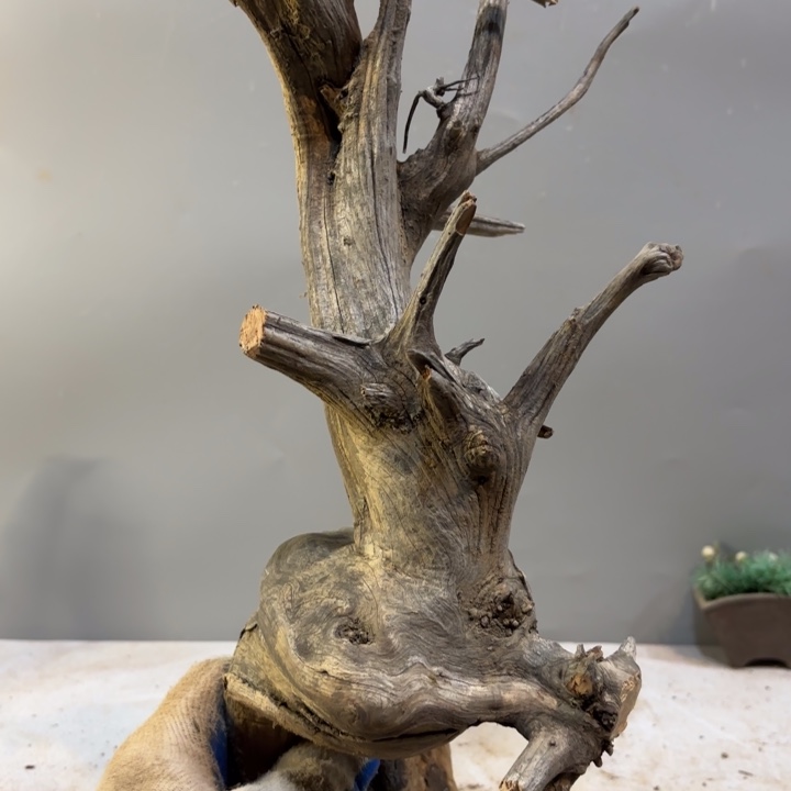 昭***哥崖柏纹理雕刻坨坨