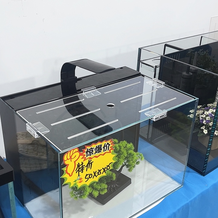 玻璃吉*50.35.35背经典款