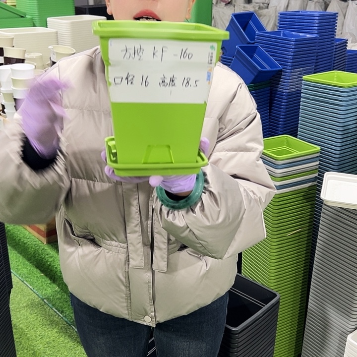 正品方盆口16高18果绿10只带托