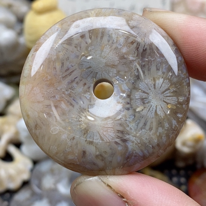 颈饰未镶嵌硅化珊瑚（珊瑚玉）