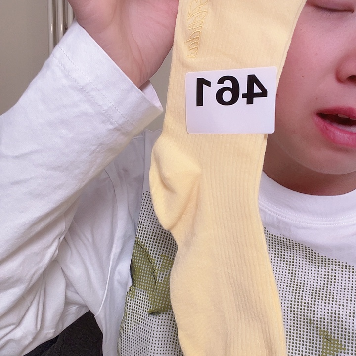 三醋酯纤维多迪黄色logo 刺绣袜子461