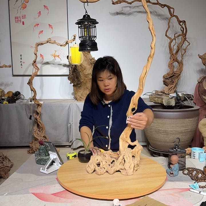 卡***具杜鹃根叶呈圆柱形状排列