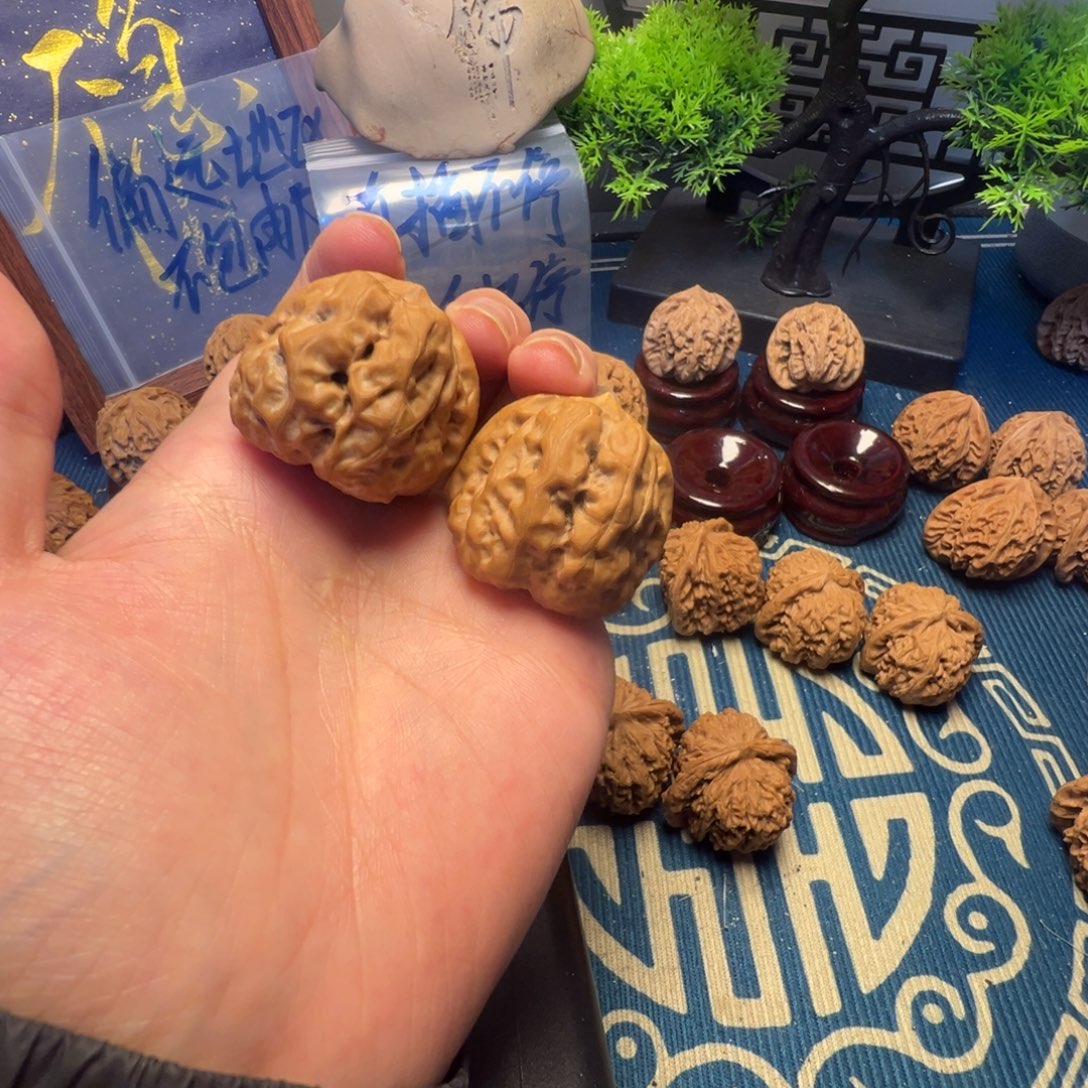 36尺白茬蛤蟆头核桃