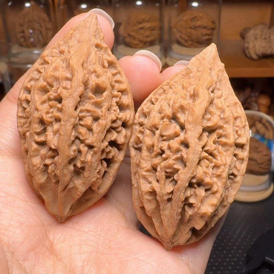 文玩核桃把件黄金叶