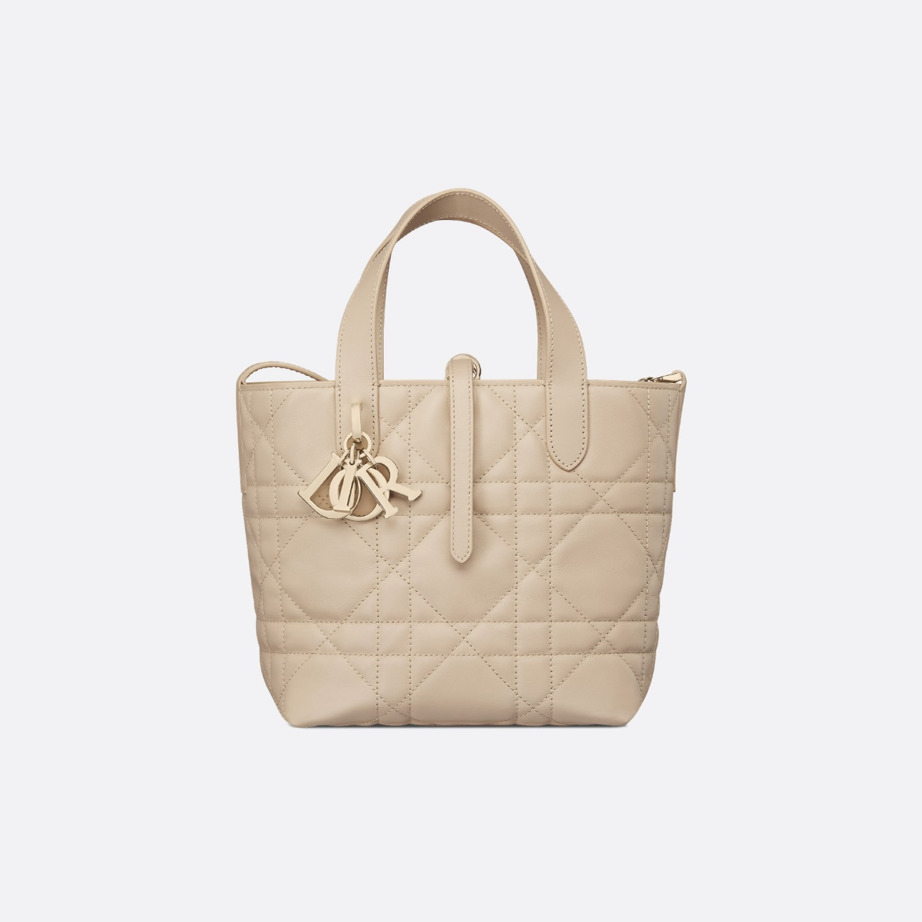 未使用 DIOR/迪奥 土著（25年票大全套）toujours小号胭脂米色竖版