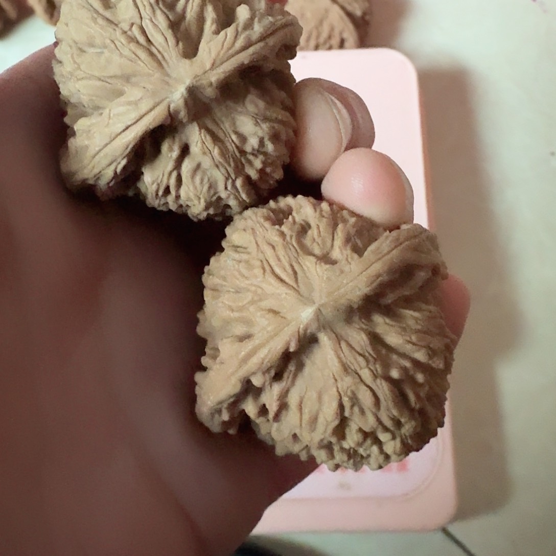 六*雨全品南疆石狮子头43