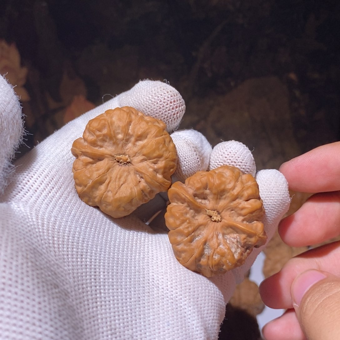 文玩核桃把件米*蛤蟆头